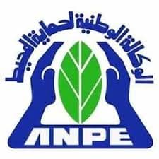 ANPE Logo